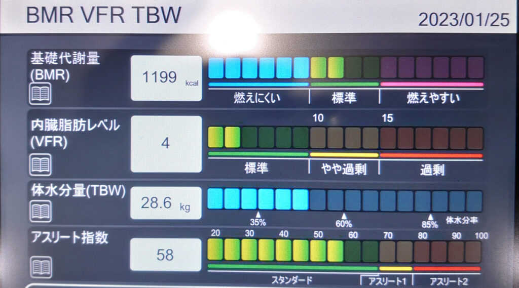 【初回】BMR VFR TBW 2023/1/25