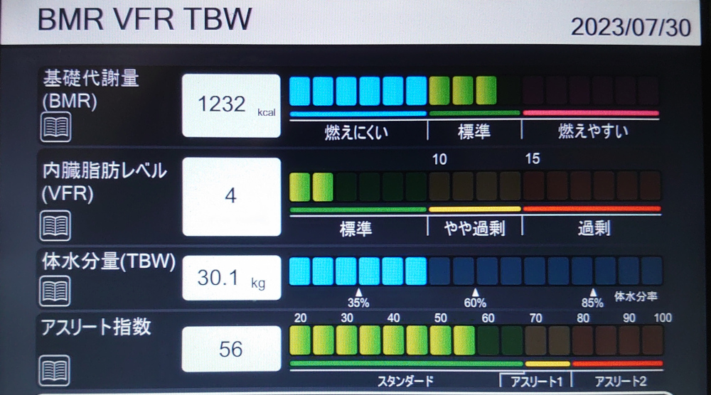 【前回】BMR VFR TBW 2023/7/30