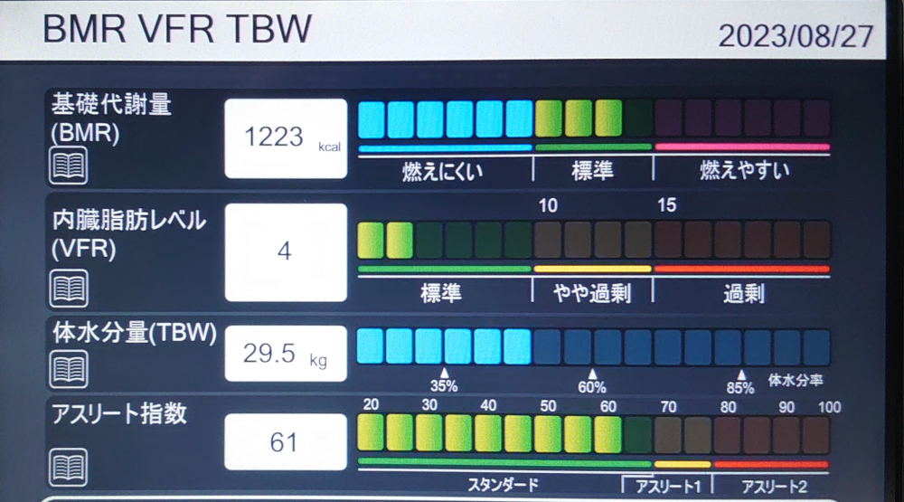 【今回】BMR VFR TBW 2023/8/27
